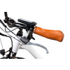 Miniatura prodotto E-bike Vintage con telaio in alluminio 19", ruote 28", motore centrale 250W Ananda, batteria 13AH e cambio Shimano