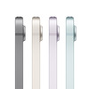 Miniatura prodotto iPad mini Wi-Fi + Cellular 128GB - Grigio Siderale
