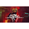 Miniatura prodotto Stray