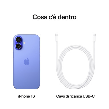 Foto 10 su 11 del prodotto