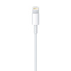 Miniatura prodotto Cavo da lightning a USB 1mt
