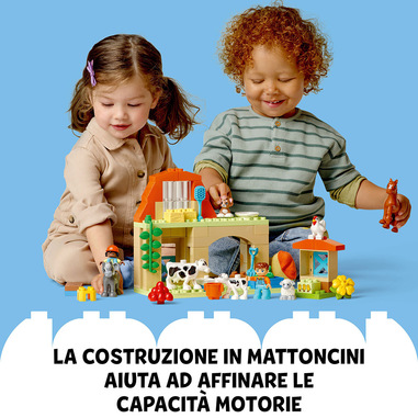Foto 23 su 24 del prodotto