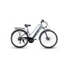 Miniatura prodotto Queen 28P - telaio in alluminio 19", ruota 28", freno a disco a/p, sospensioni ant., cambio Shimano, batteria 36V 13Ah