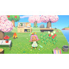 Miniatura prodotto Animal Crossing: New Horizons