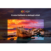 Miniatura prodotto TCL Serie P6 Smart TV Ultra HD 4K 55" 55P655, Dolby Audio, Controlli vocali, Google TV
