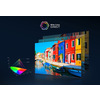 Miniatura prodotto TCL Serie P7 Smart TV Nanotecnologia WCG 4K 65" 65P755, Dolby - Atmos, Google TV