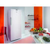 Miniatura prodotto Congelatore verticale Whirlpool - WVA31612 NFW 2