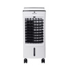 Miniatura prodotto RFE4075K9D Raffrescatore evaporativo