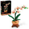 Miniatura prodotto Mini-orchidea