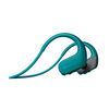Miniatura prodotto NW-WS413