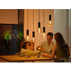 Miniatura prodotto Philips Hue White and Color Ambiance Lightguide Lampadina Smart E27 60 W
