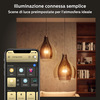 Miniatura prodotto Philips Hue White Ambiance Lampadina Smart E27 75 W