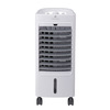 Miniatura prodotto RFE4075K0M Raffrescatore evaporativo