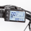 Miniatura prodotto Queen 28P - telaio in alluminio 19", ruota 28", freno a disco a/p, sospensioni ant., cambio Shimano, batteria 36V 13Ah