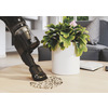 Miniatura prodotto Hoover HFX, Aspirapolvere senza filo, Nero, 1,2L, Senza sacchetto