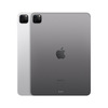 Miniatura prodotto iPad 11 Pro Wi-Fi 128GB - Grigio Siderale