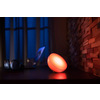 Miniatura prodotto Philips Hue White and Color Ambiance Go Lampada Smart da Tavolo portatile