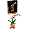 Miniatura prodotto Mini-orchidea