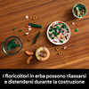 Miniatura prodotto Mini-orchidea