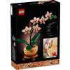 Miniatura prodotto Mini-orchidea