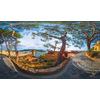 Miniatura prodotto GoXtreme Omni 360°