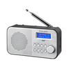 Miniatura prodotto RT-194 DAB