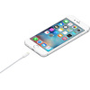 Miniatura prodotto Cavo da lightning a USB 1mt