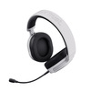 Miniatura prodotto GXT 498 Forta