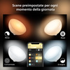 Miniatura prodotto Philips Hue White and Color Ambiance Go Lampada Smart da Tavolo portatile