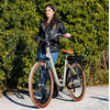 Miniatura prodotto City-bike vintage EMG Audrey con ruota da 26", freni V-brake, motore 250W batteria ultra slim 13Ah, cambio Shimano