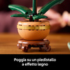 Miniatura prodotto Mini-orchidea