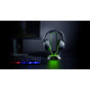 Miniatura prodotto GXT 265 Cintar