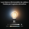 Miniatura prodotto Philips Hue White Filament Lampadina Smart E27 40 W