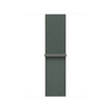 Miniatura prodotto Sport Loop salvia (40 mm)