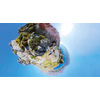 Miniatura prodotto GoXtreme Omni 360°