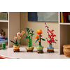 Miniatura prodotto Mini-orchidea