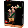 Miniatura prodotto Mini-orchidea