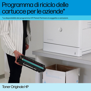 Foto 10 su 11 del prodotto